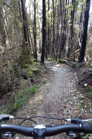 On the trail again